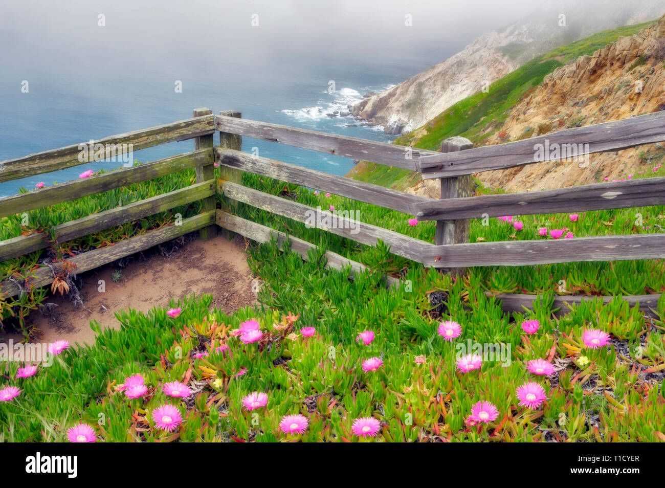 Point reyes national seas hi-res stock photography and images - Alamy