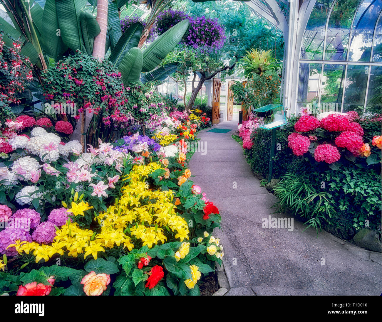 A variety of flowers and path in WW Seymour Botanical Conservatory. Washington Stock