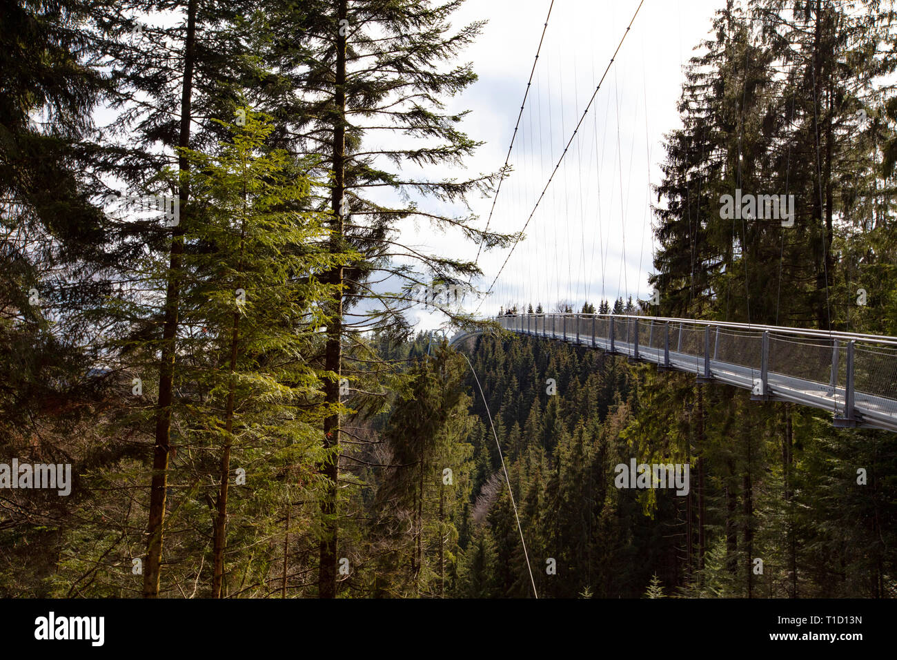 Wild Line, Hängebrücke Bad Wildbad Stock Photo - Alamy