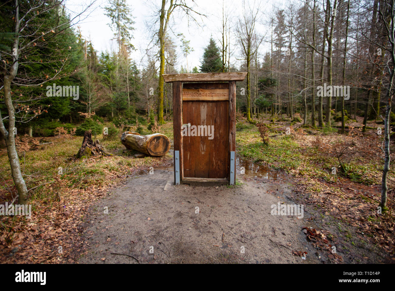 A door in a forest, Waldbadezimmer Stock Photo