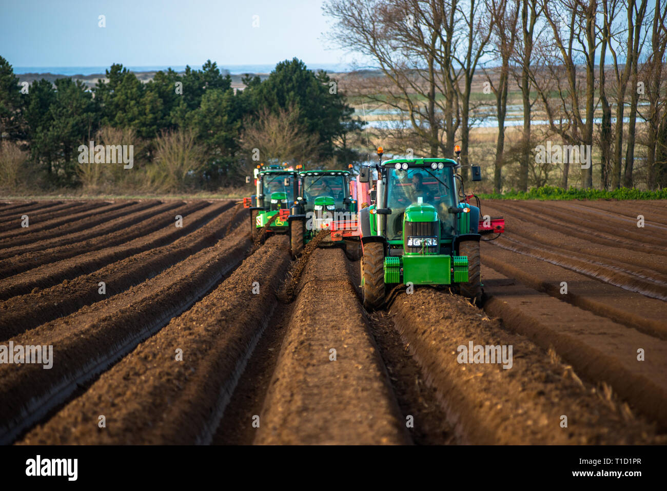 Tractors carrying out deep bed shaping followed by sowing the fields in early springs time at Burnham Overy in North Norfolk, East Anglia, England, UK Stock Photo