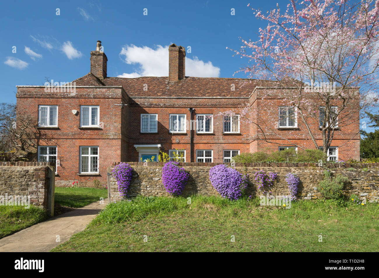 The historic Hill Farm house building in the village of Thursley, Surrey, UK, on a sunny spring day with pink blossom tree and purple aubretia flowers Stock Photo