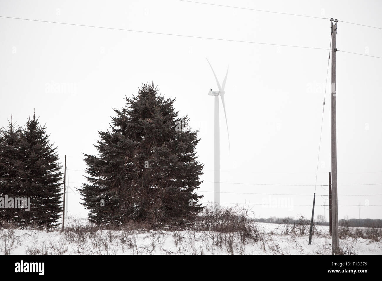 Wind Turbine, Power Lines and Evergreen Trees on Snowy Day Stock Photo