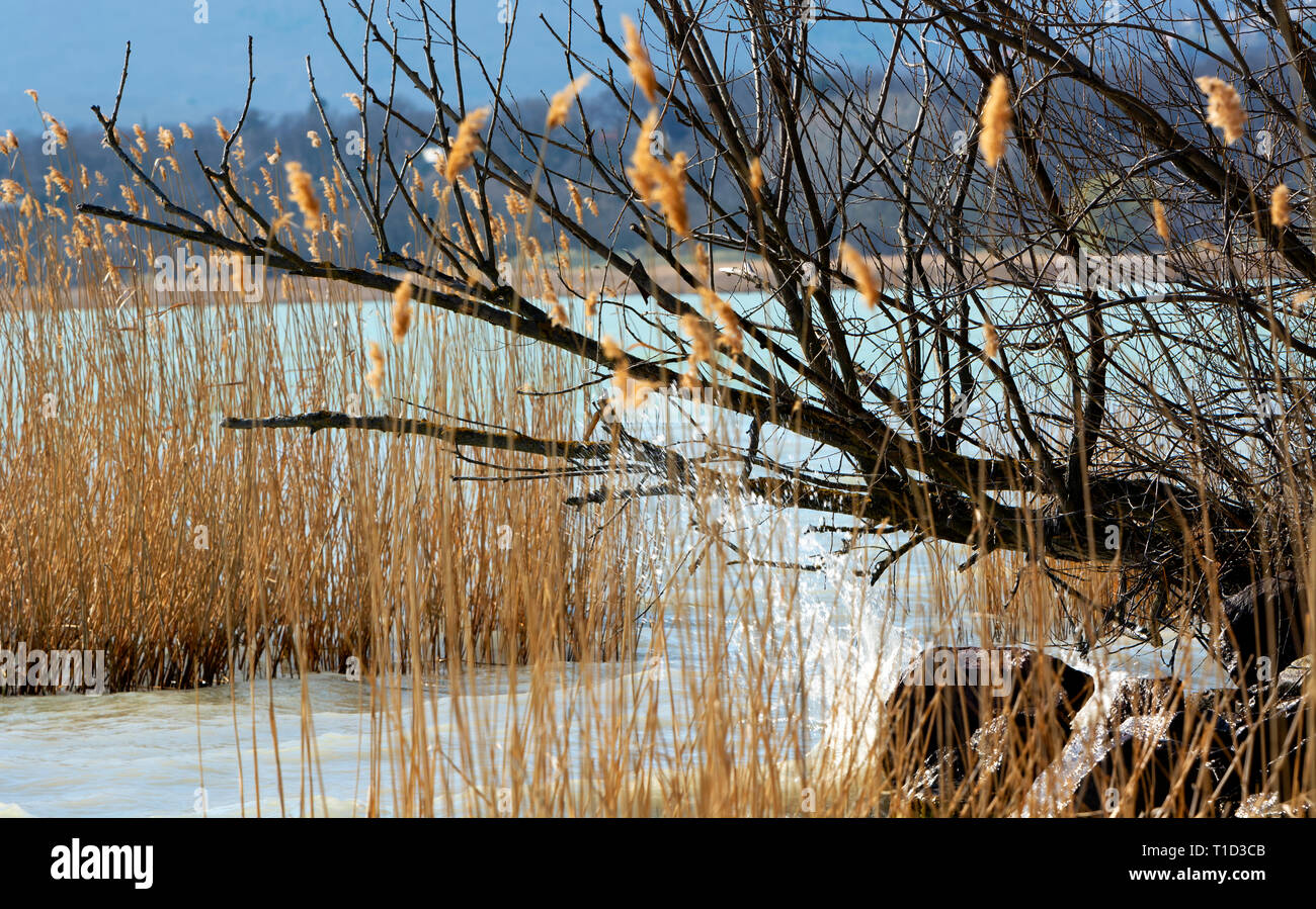 Landscape at Lake Balaton, Hungary Stock Photo