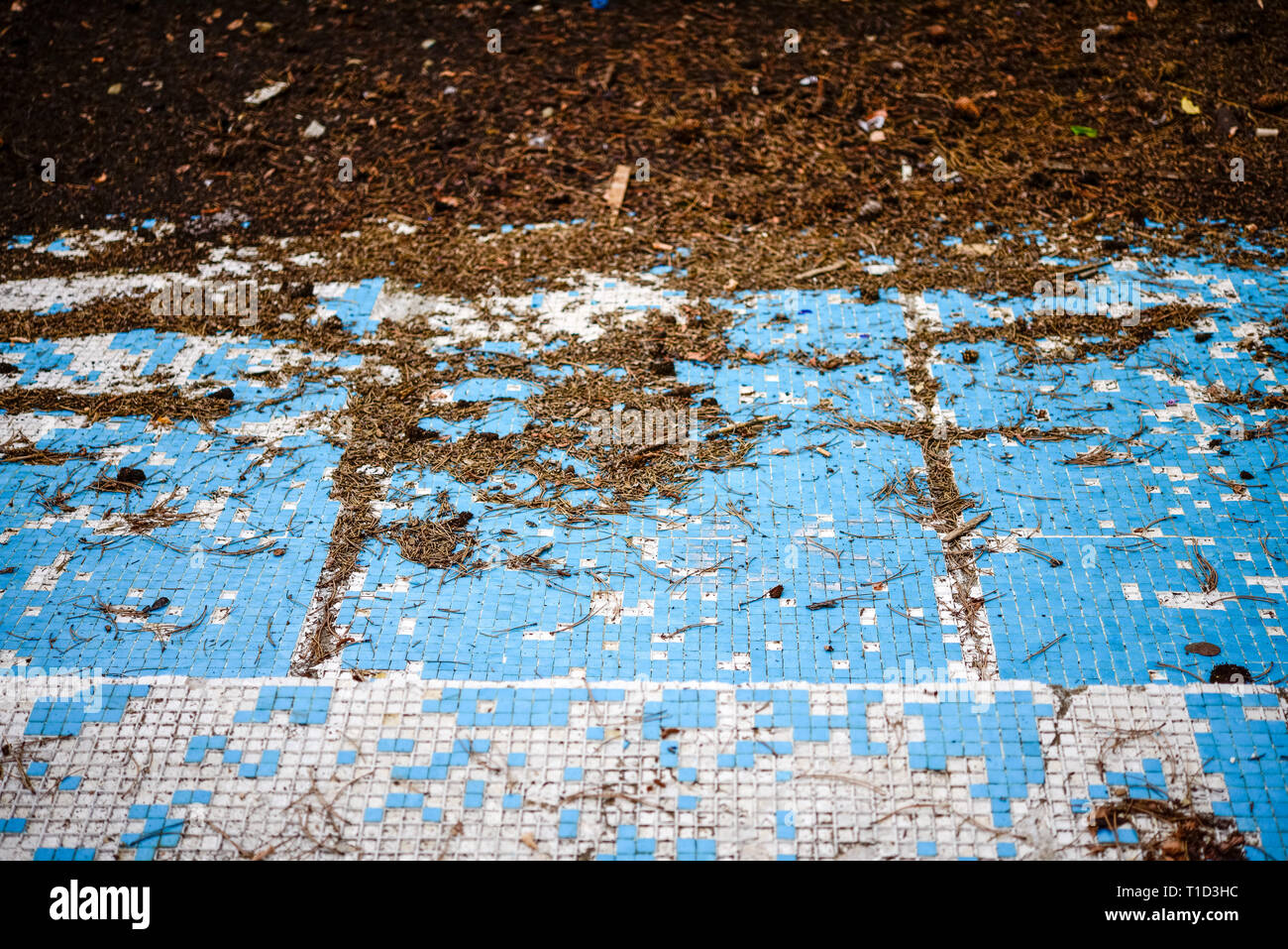 Broken blue azure  retro tiles mosaic in abandoned pool - Berengaria Hotel, Cyprus Stock Photo