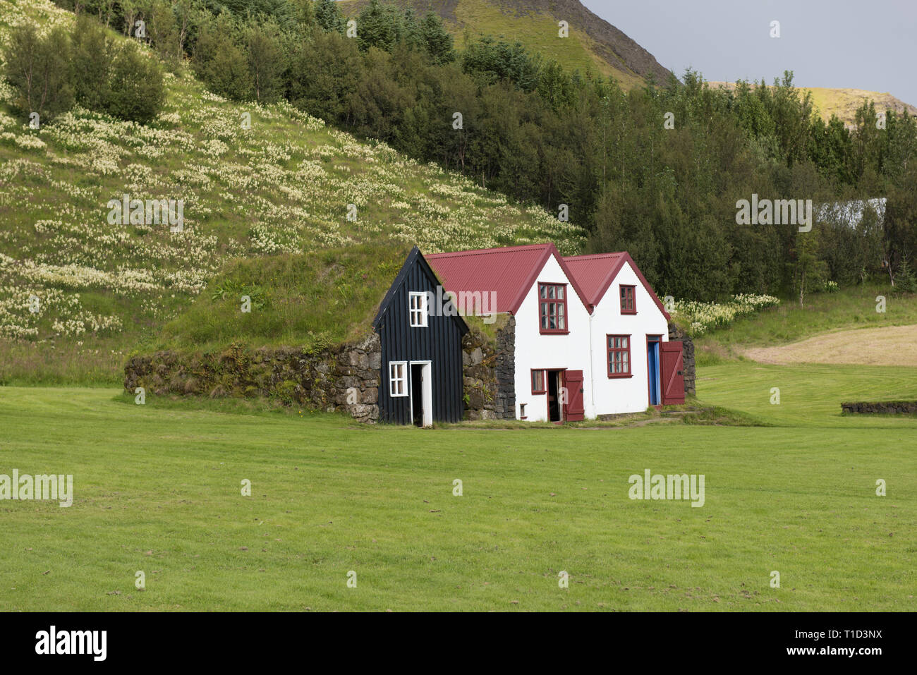 Traditional Icelandic House with grass roof in Skogar Folk Museum, Iceland Stock Photo