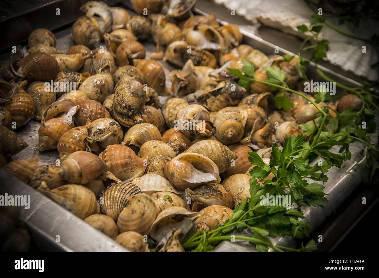 Snails sea food hires stock photography and images Alamy