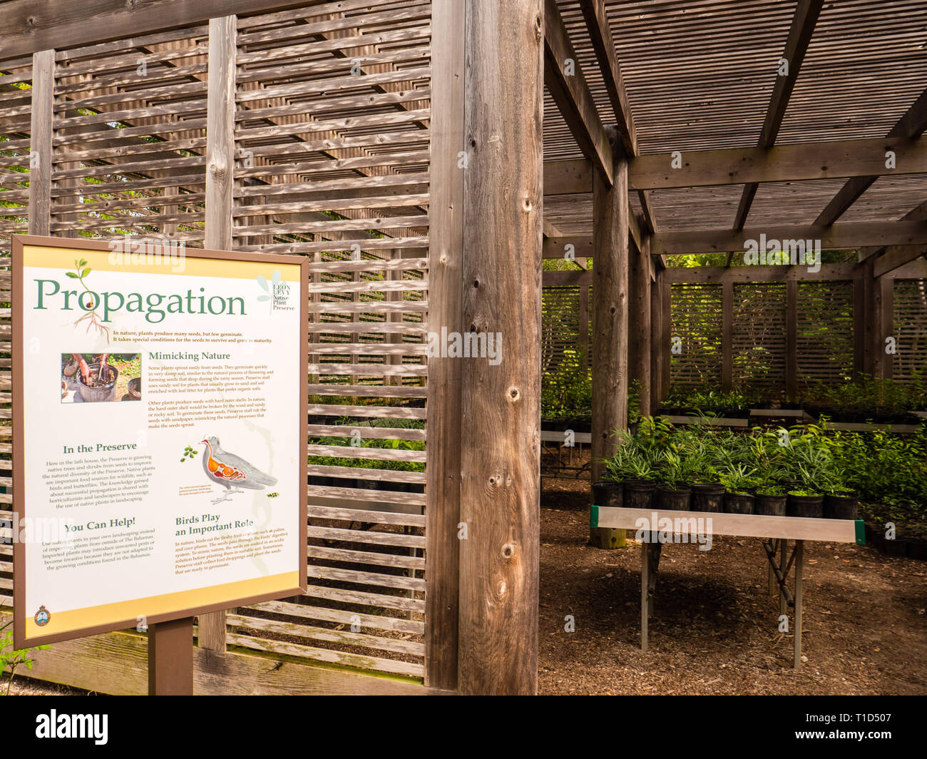 Propagation Shed, Leon Levy Native Plant Preserve, Bahamas National Park, Governors Harbour, Eleuthera, The Bahamas, Caribbean. Stock Photo