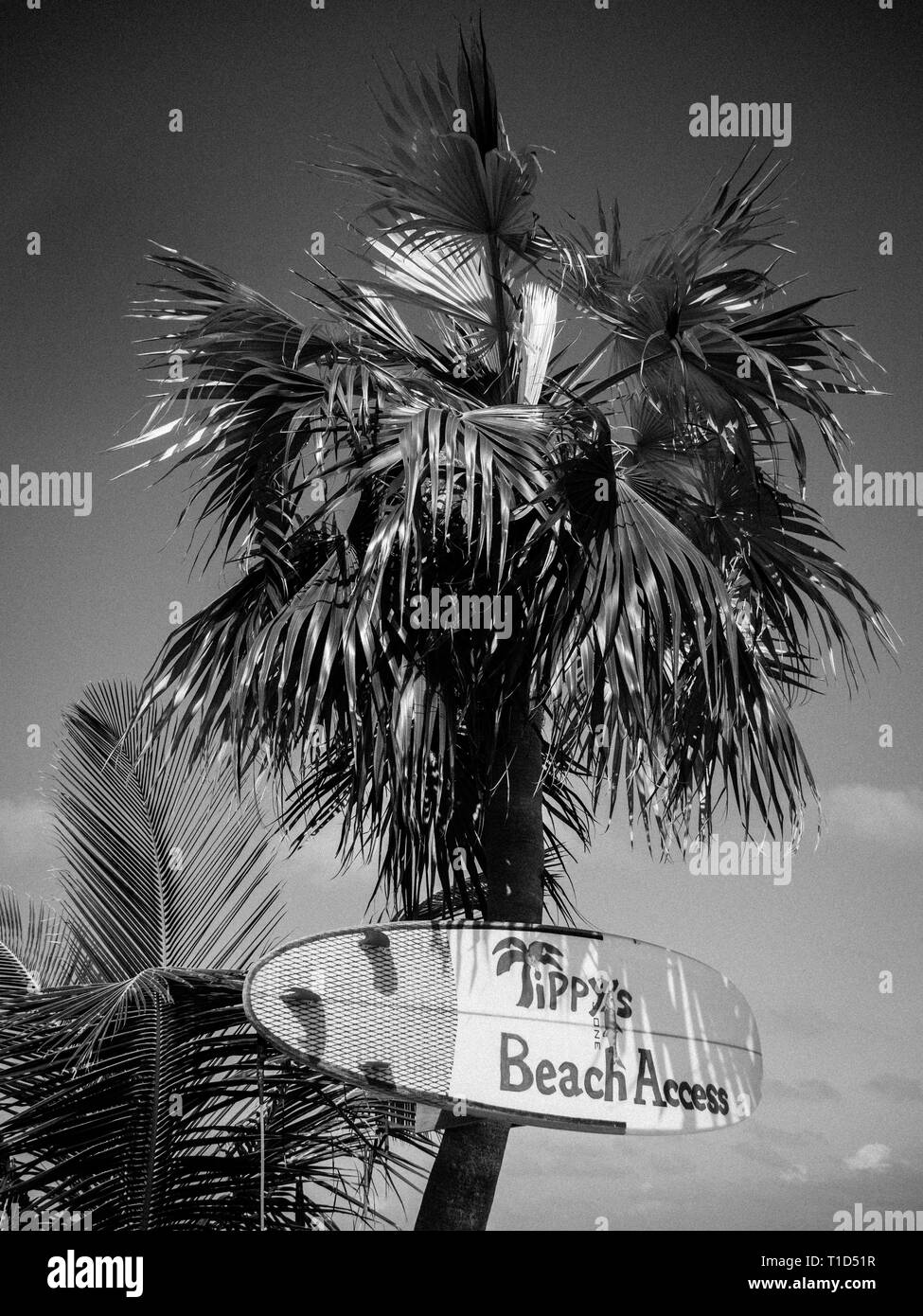 Black and White Landscape of Coastline, Tippy's Restaurant and Beachside Bar, North Palmetto Point, Eleuthera, The Bahamas. Stock Photo