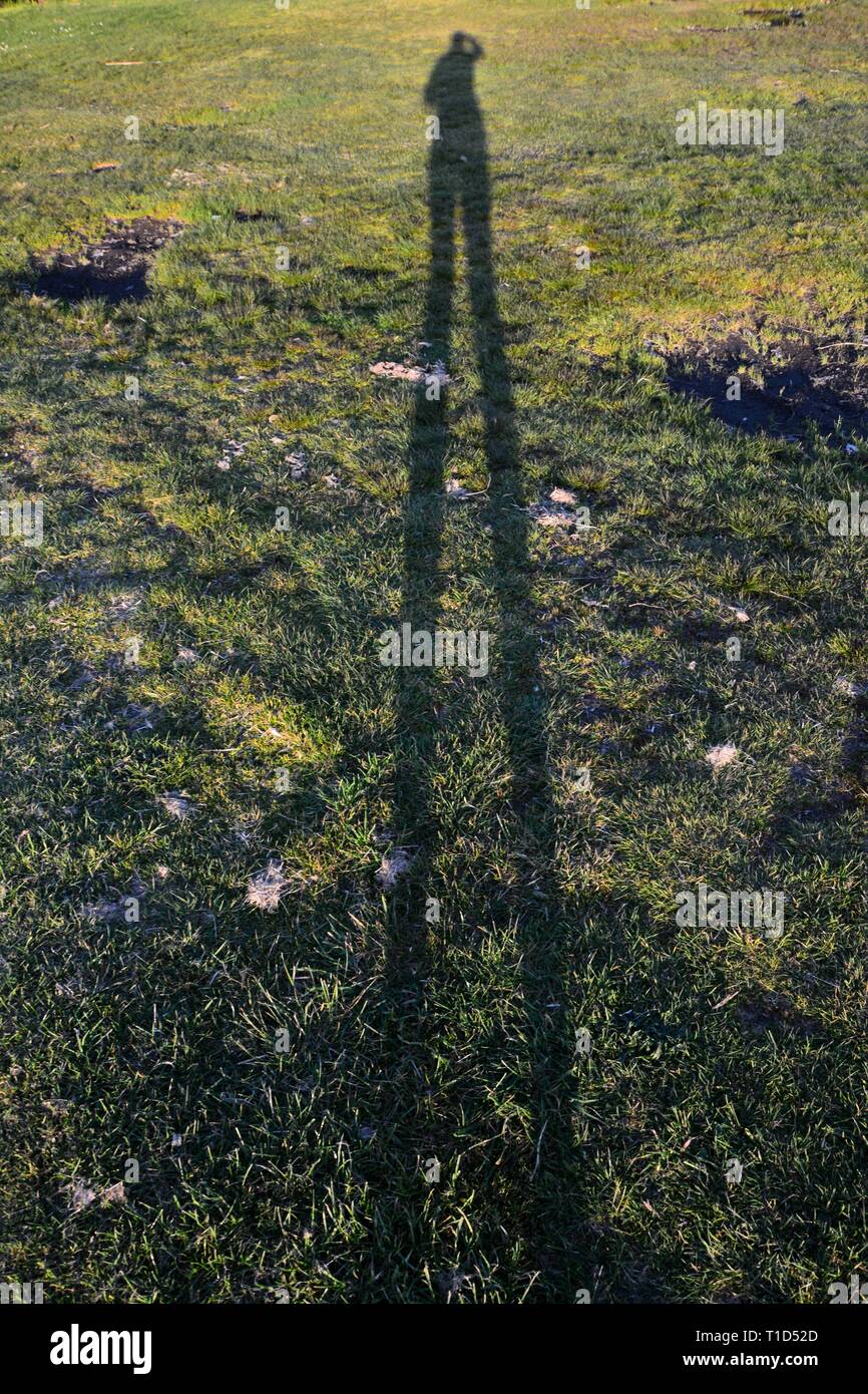A very long human shadow on the grass Stock Photo