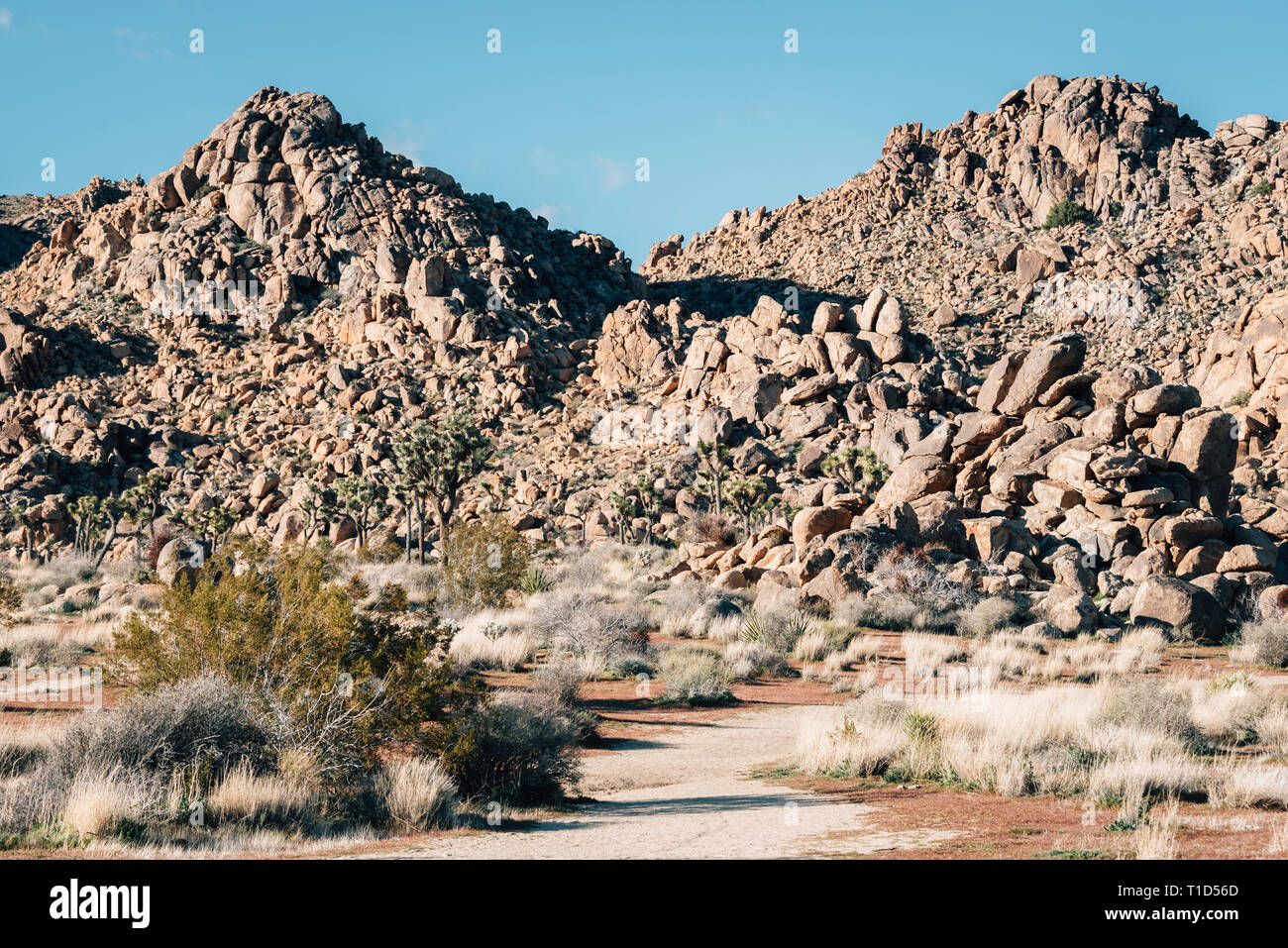 Rock piles in the desert, in Joshua Tree National Park, California Stock  Photo - Alamy