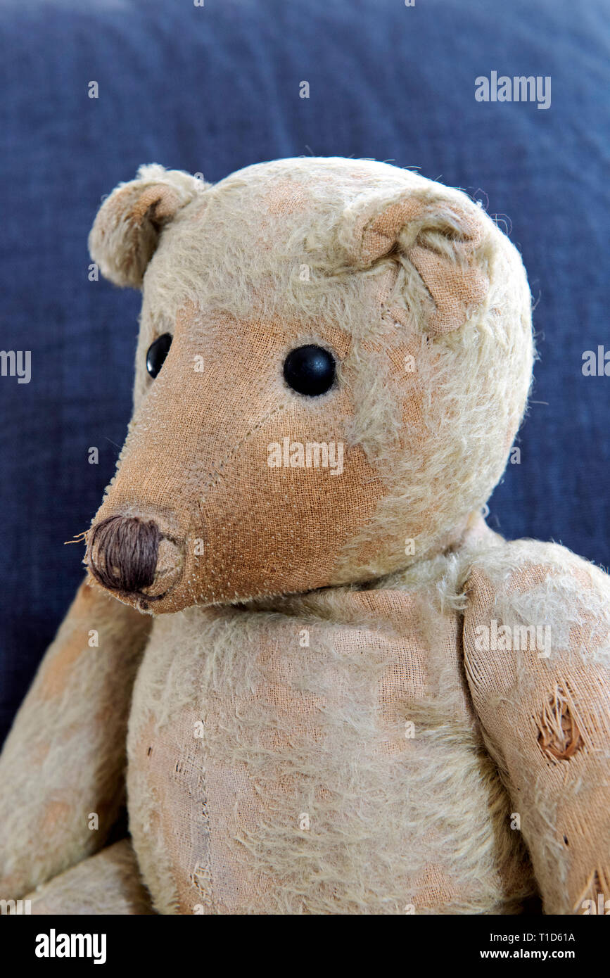 Close Up Of An Old Teddy Bears Eyes And Nose Stock Photo - Download Image  Now - Staring, Stuffed Toy, 1970-1979 - iStock