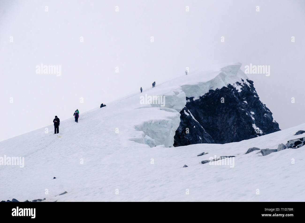 Summer hiking on the top of the mountain Glittertind Stock Photo - Alamy
