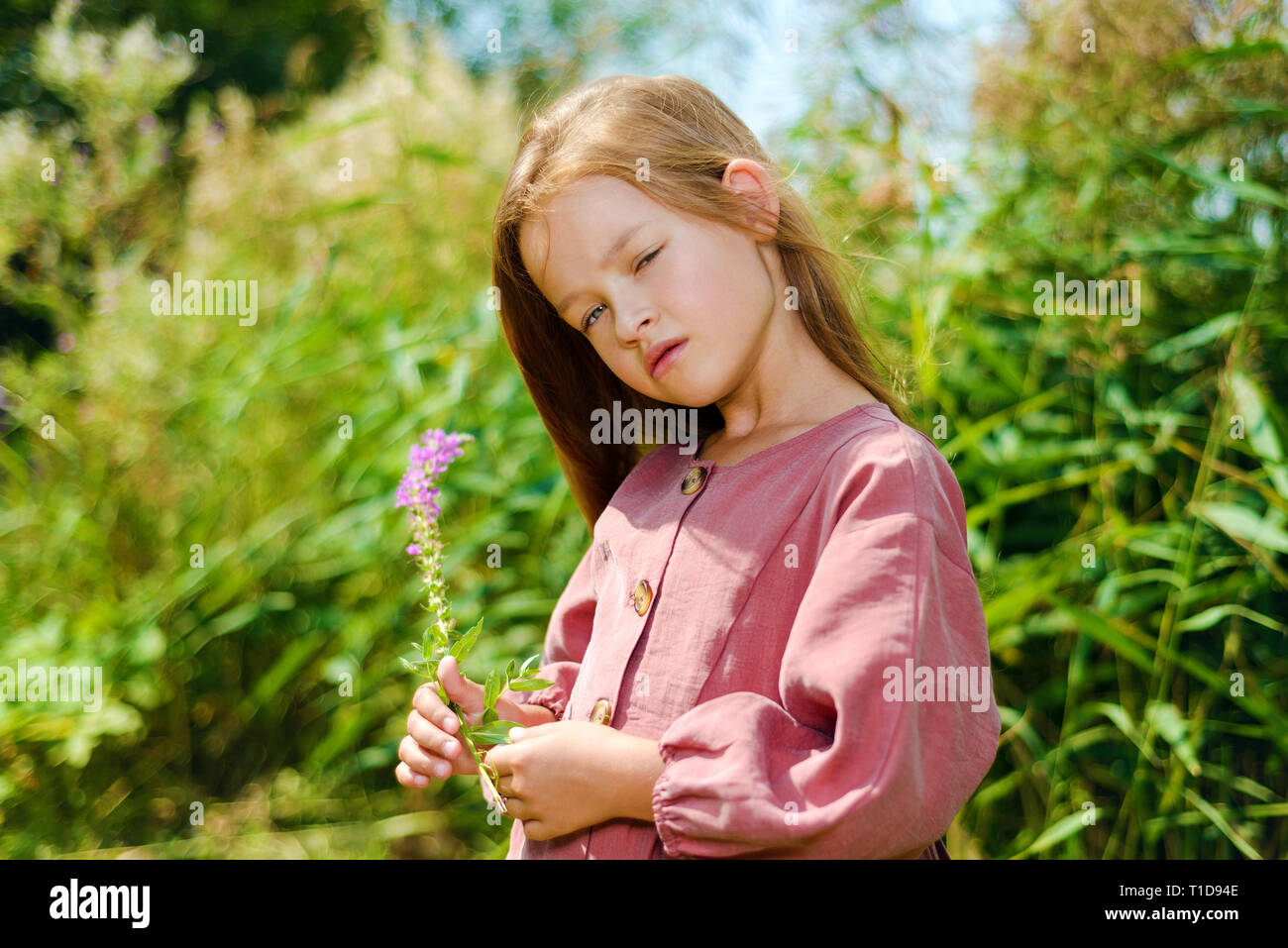 beautiful little girl in burgundy dress holding flower in sunny day. in the background green grass Stock Photo