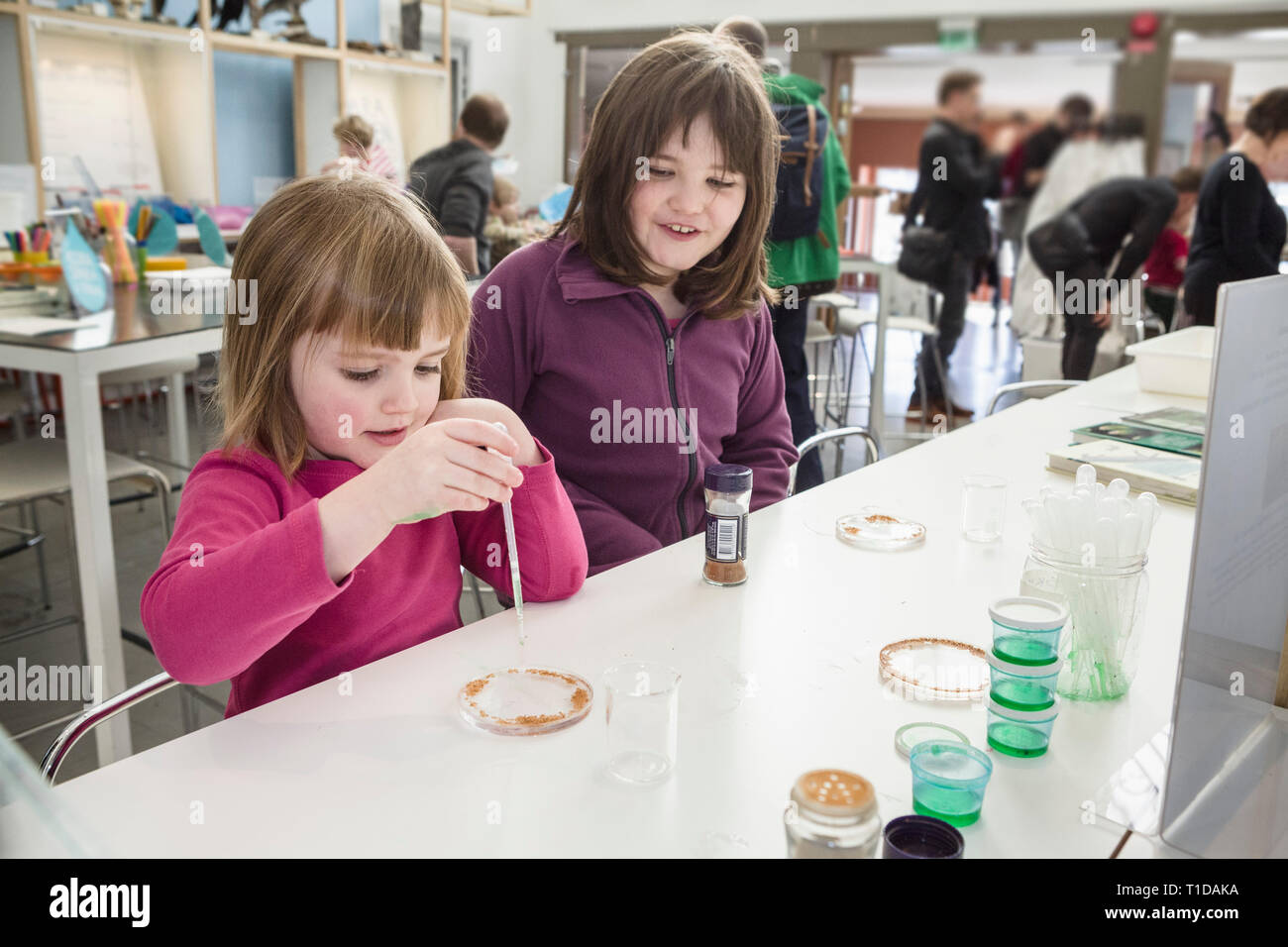 Young girl doing science experimentswith her older sister watching  at a laboratory. Stock Photo