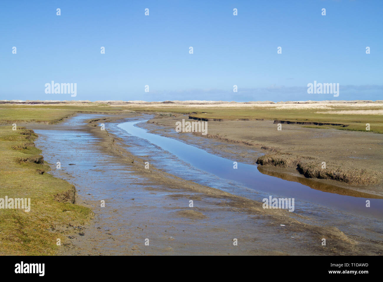 Tidal creak meandering in a salt marsh Stock Photo