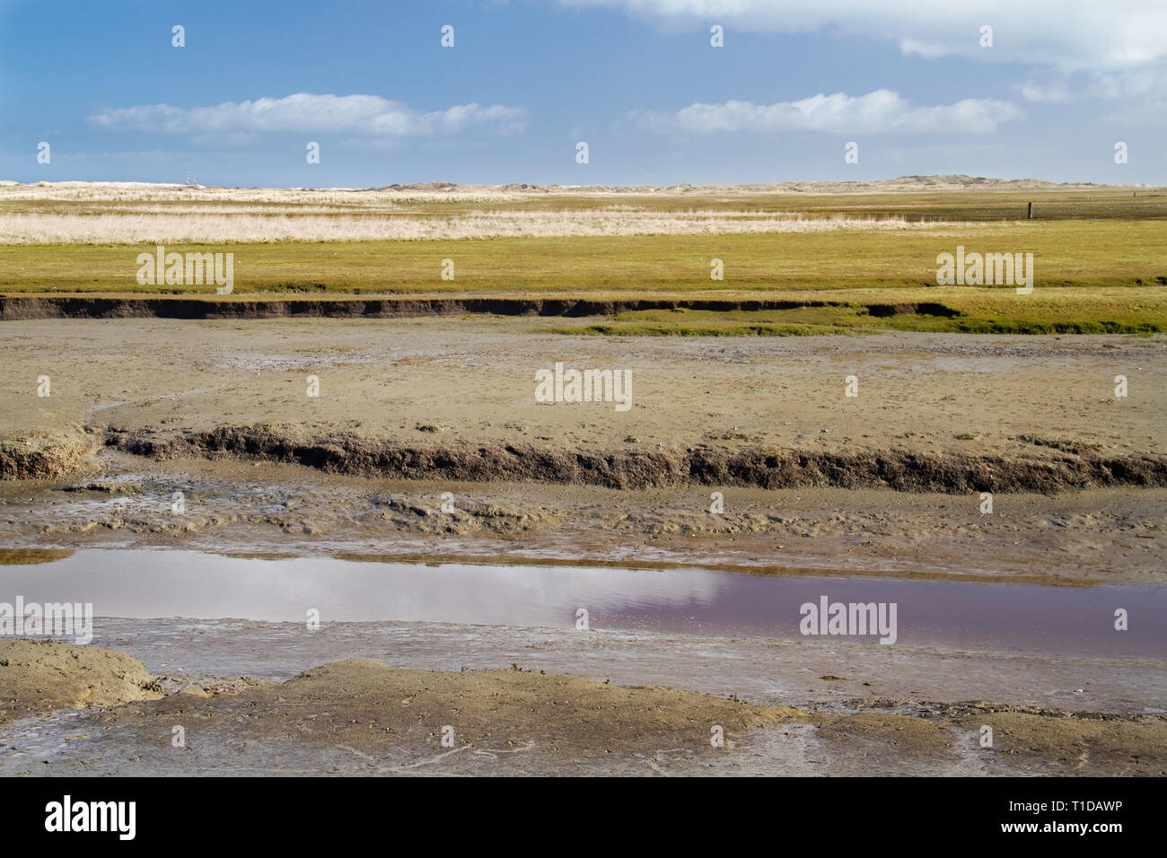 Tidal creak meandering in a salt marsh Stock Photo