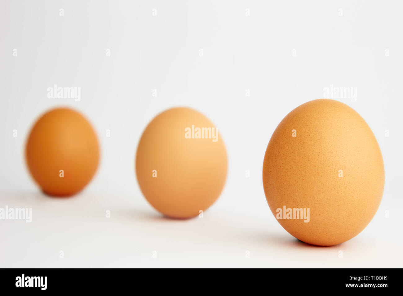 chicken eggs on a white background with black shadows Stock Photo - Alamy