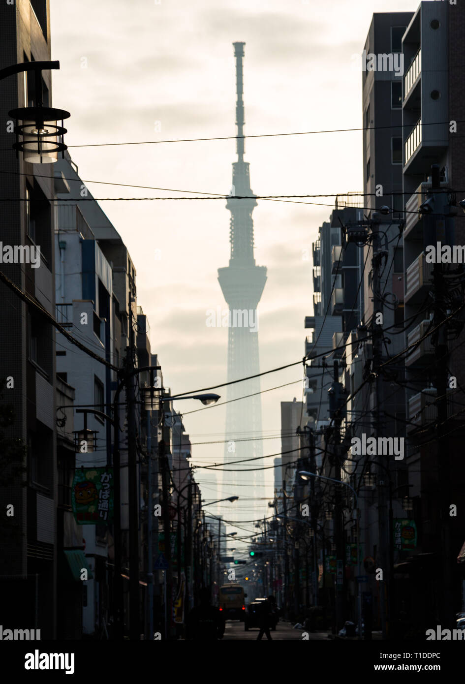 The Skytree towers over Tokyo, Japan. seen from a narrow alley the tower is just a dark looming shadow in early morning light looking through the smog Stock Photo