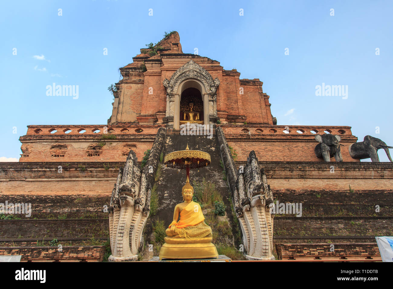 Wat Chedi Luang temple in Chang Mai Stock Photo