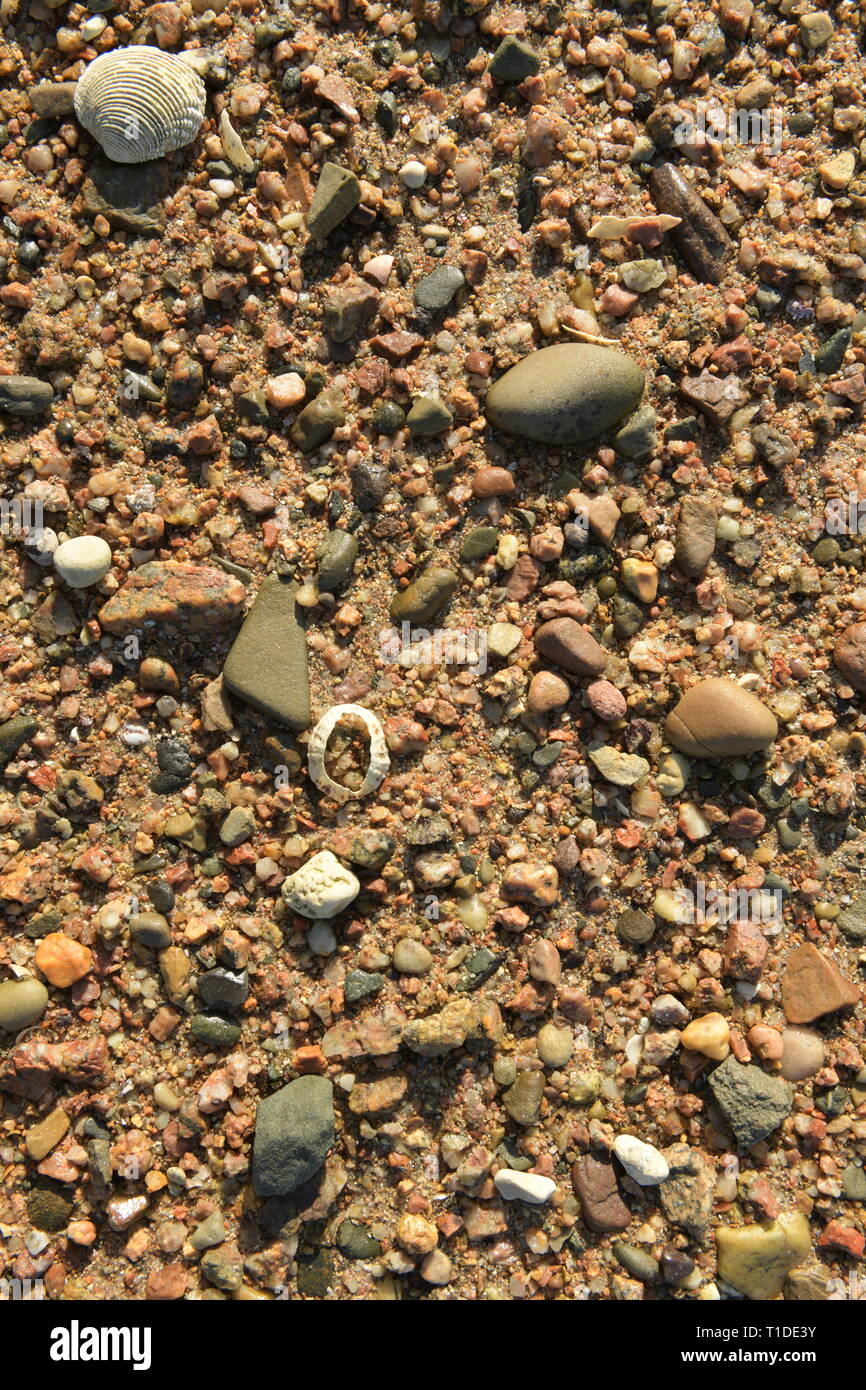 Gravel sea bed with shells Stock Photo