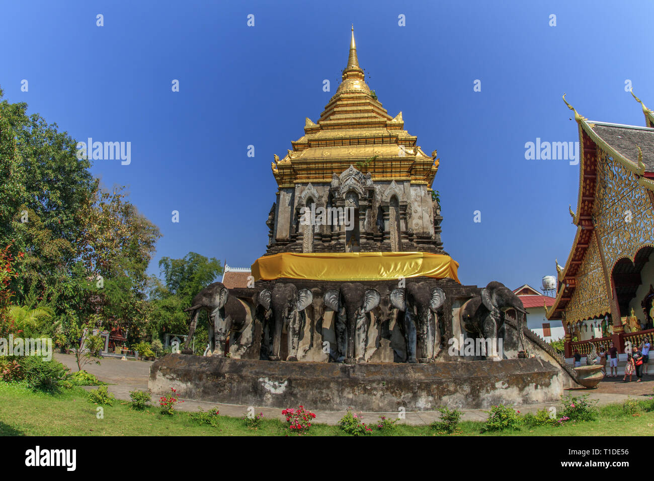 Wat Chiang Man temple in Chiang Mai Stock Photo Alamy Wat Chiang Man temple in Chiang Mai Stock Photo Alamy