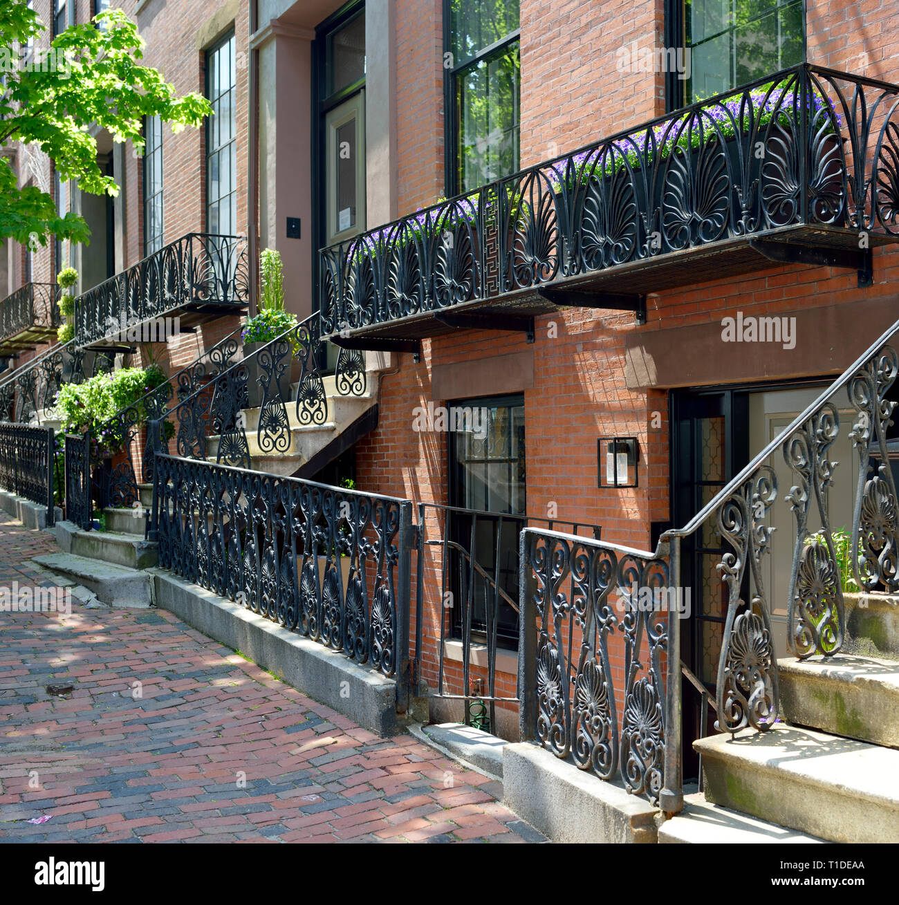 Iron fence, railings and balcony in Beacon Hill, Boston. Decorative design, colonial Boston Stock Photo