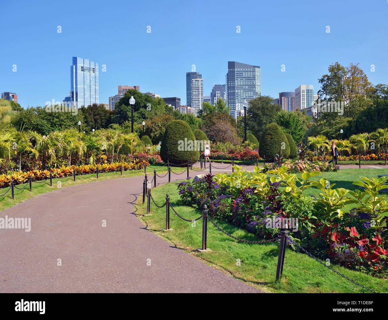 Boston Public Garden and city skyline in summer. Tropical plants and colorful floral patterns in American first botanical garden. Stock Photo