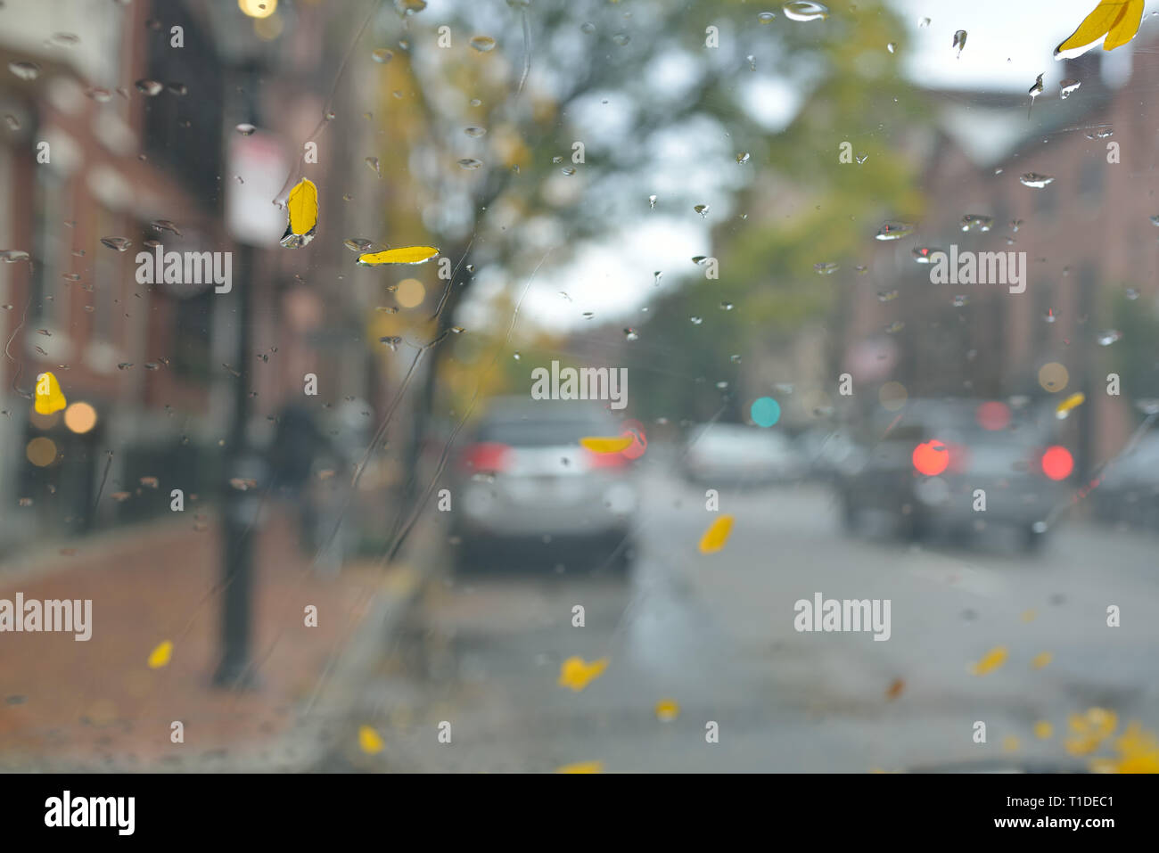 Autumn rain, abstract background. Wet windshield, yellow leaves and raindrops, boston city street Stock Photo