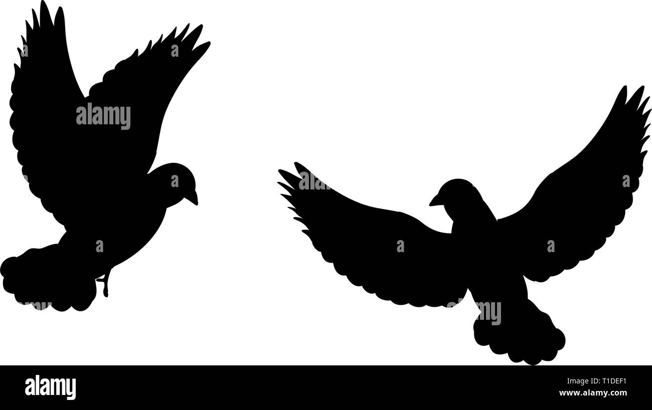 Pigeons bird  black silhouette animal. Stock Vector