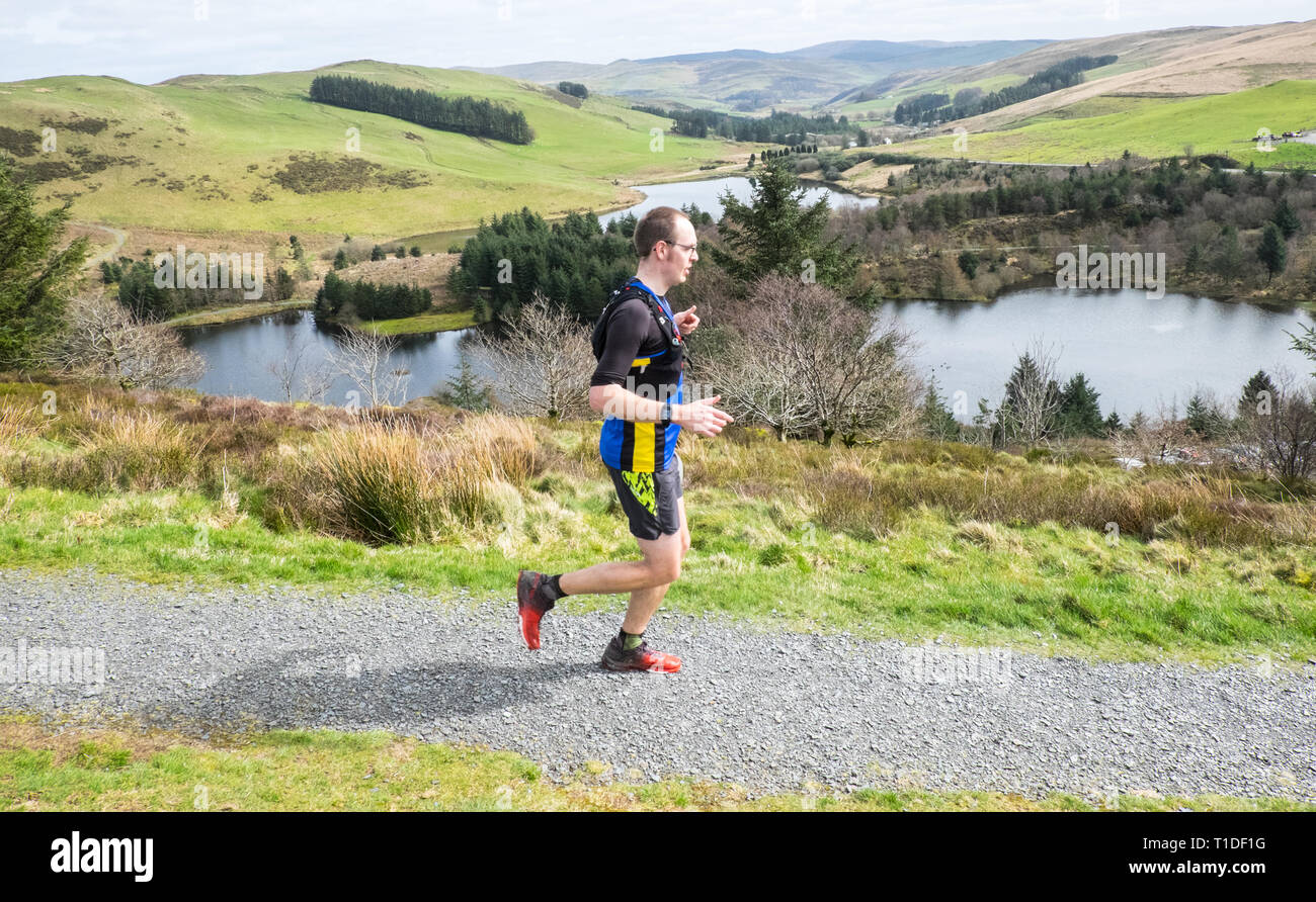 Trail,Running,run,runner,runners,race,Nant Silver Trail Half Marathon,Nant Yr Arian, near Aberystwyth, Ceredigion,West,Mid Wales,Welsh UK,GB,Britain, Stock Photo