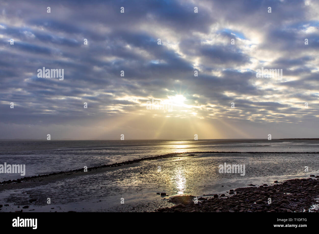 North Sea island Langeoog, East Friesland, Lower Saxony, Wadden Sea at low tide, on the west coast, Stock Photo