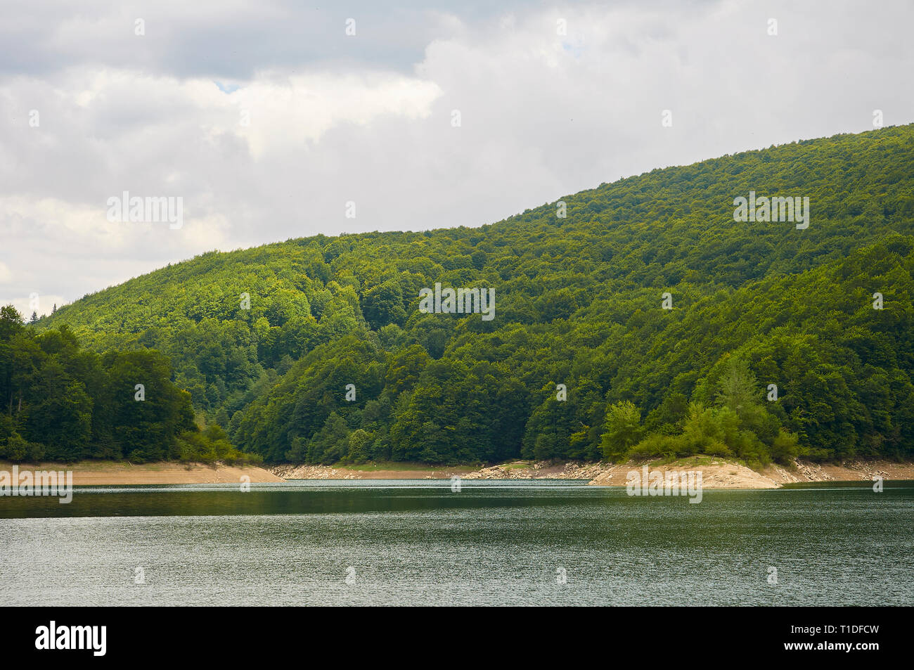 Irabia swamp shore, surrounded by beech tree (Fagus sylvatica) and European silver fir (Abies alba) mixed forest (Irati Forest, Navarre, Spain) Stock Photo