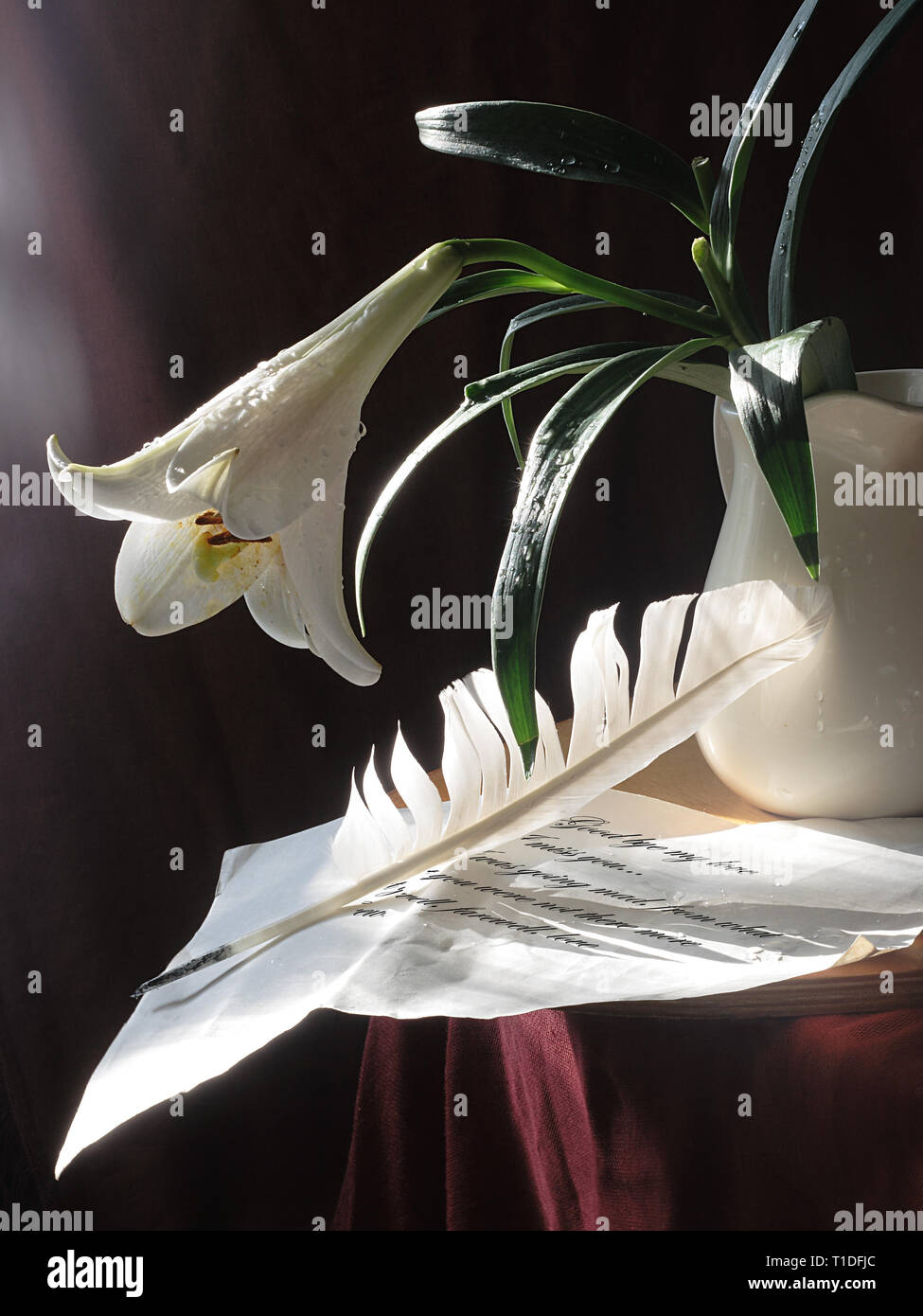 Still life with lily, goose quill and letter Stock Photo - Alamy