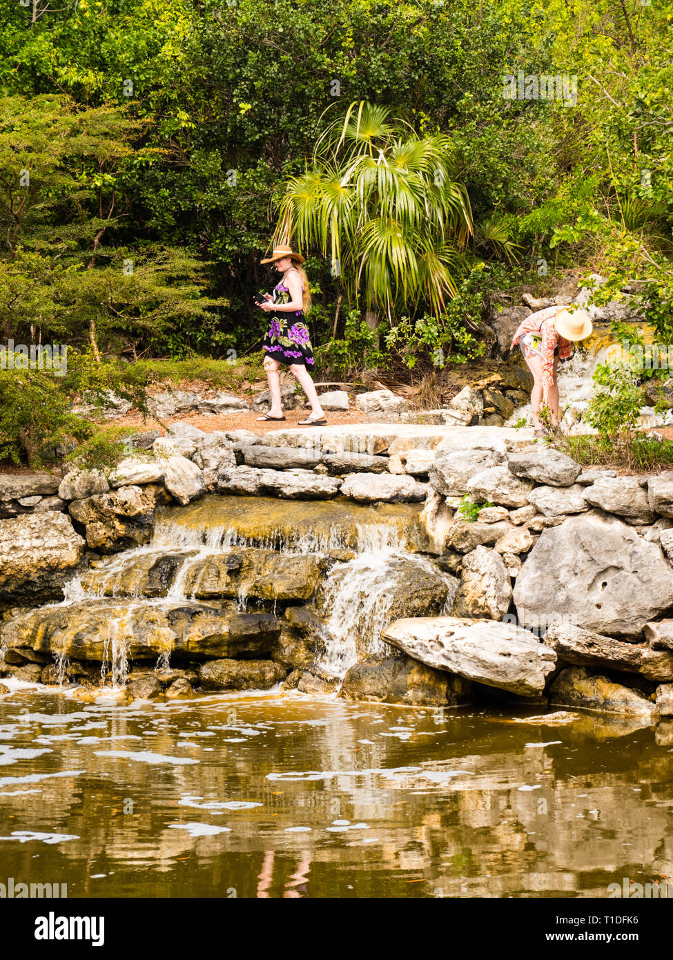 Tourists at waterfall, Leon Levy Native Plant Preserve, Governors Harbour, Eleuthera, The Bahamas, The Caribbean. Stock Photo
