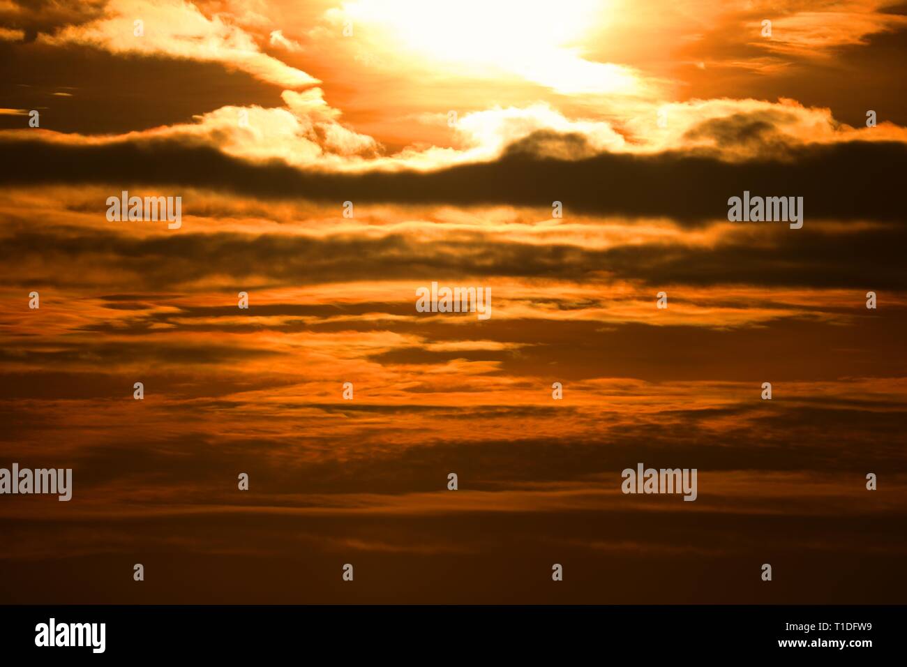 Golden sunset Stock Photo