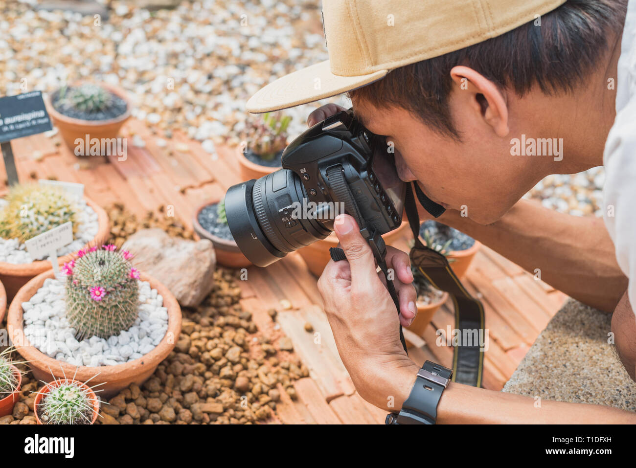 Young man takes macro photo with a DSLR camera. An enthusiastic Asian photographer shoots a blooming cactus from the short distance. Stock Photo