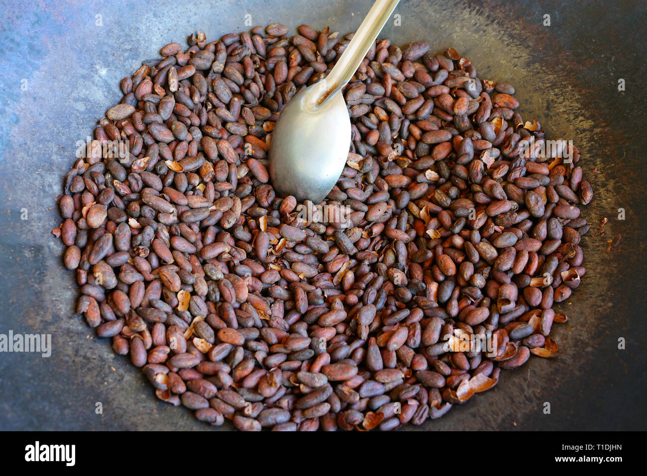 Roasting fresh cocoa beans in a large skillet in Costa Rica Stock Photo