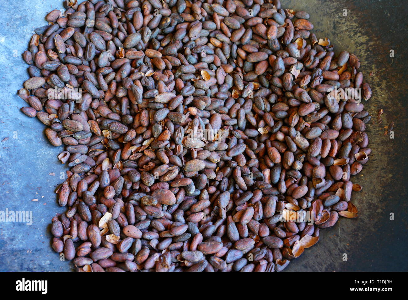 Roasting fresh cocoa beans in a large skillet in Costa Rica Stock Photo