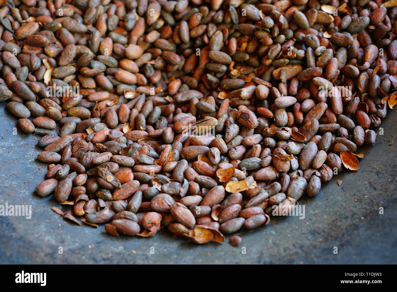 Roasting fresh cocoa beans in a large skillet in Costa Rica Stock Photo