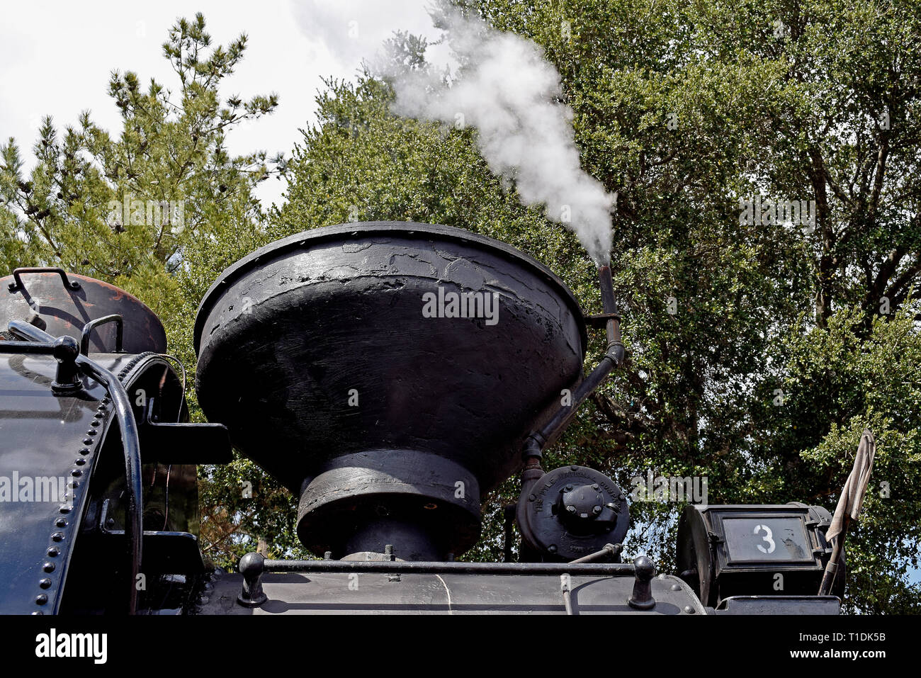 Niles Canyon railway spout on the American steam locomotive #3 at the depot in Sunol, California, Stock Photo