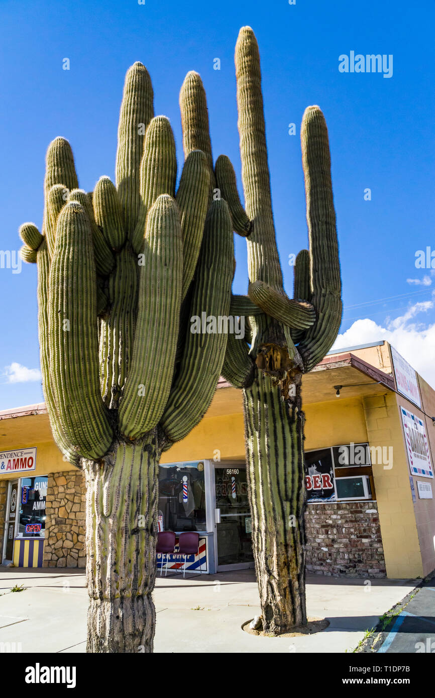 The town of Yucca Valley near Joshua Tree national park Stock Photo Alamy