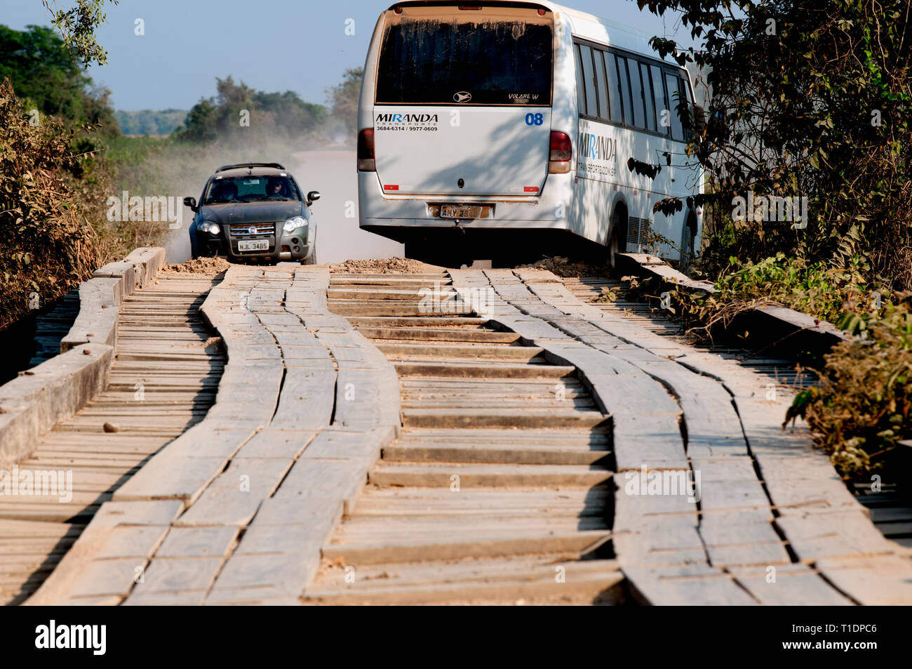 'Traffic jam' at end of a wooden bridge on the Transpantaneira Highway in The Pantanal Brazil Stock Photo