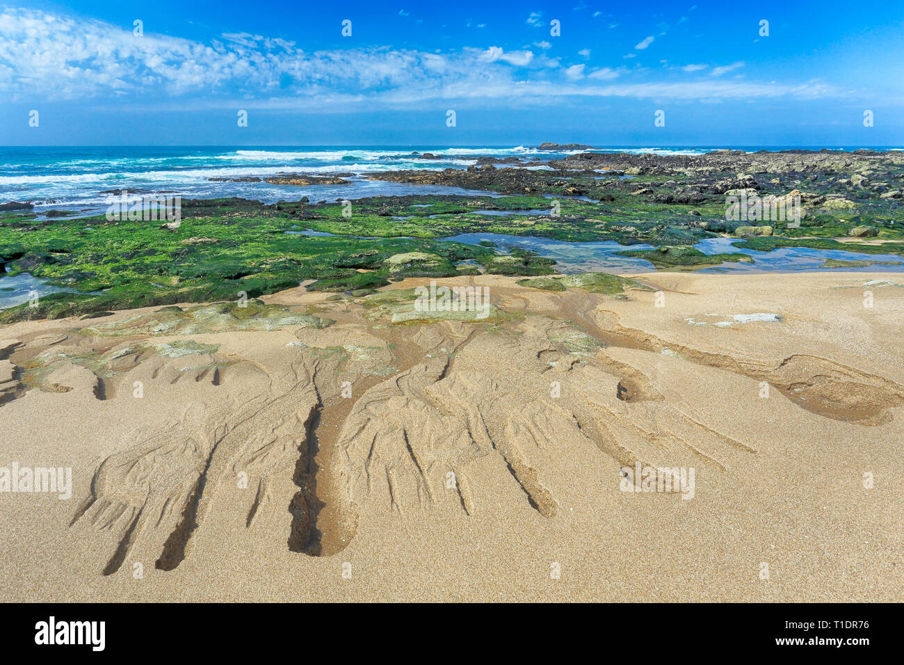 Beautiful empty rocky sea beach from the north of Portugal Stock Photo ...