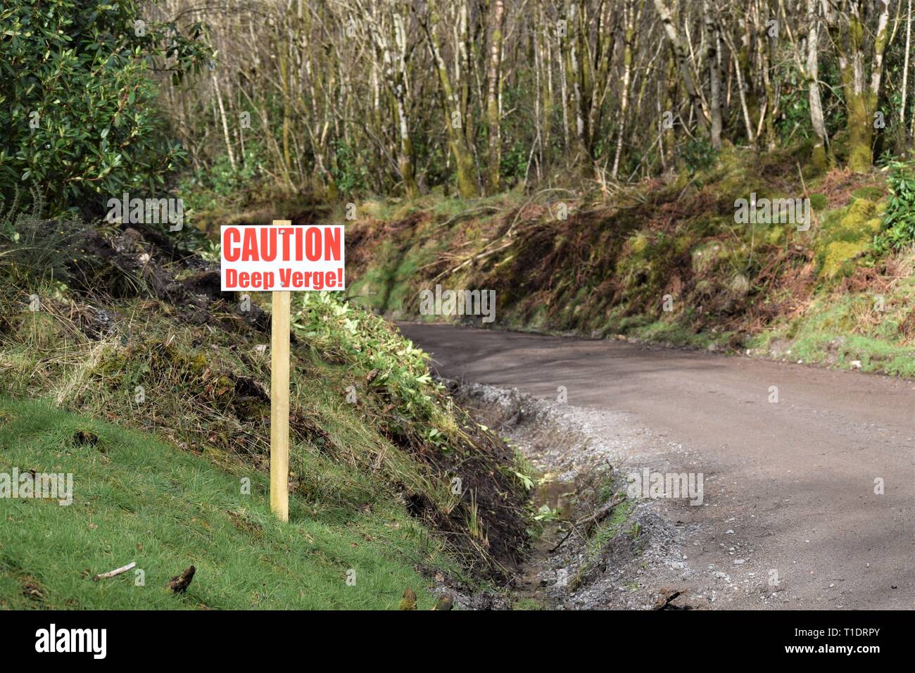 Caution warning sign by verge ditch of a new dirt road curving to the left with small tree trunks in background. Stock Photo