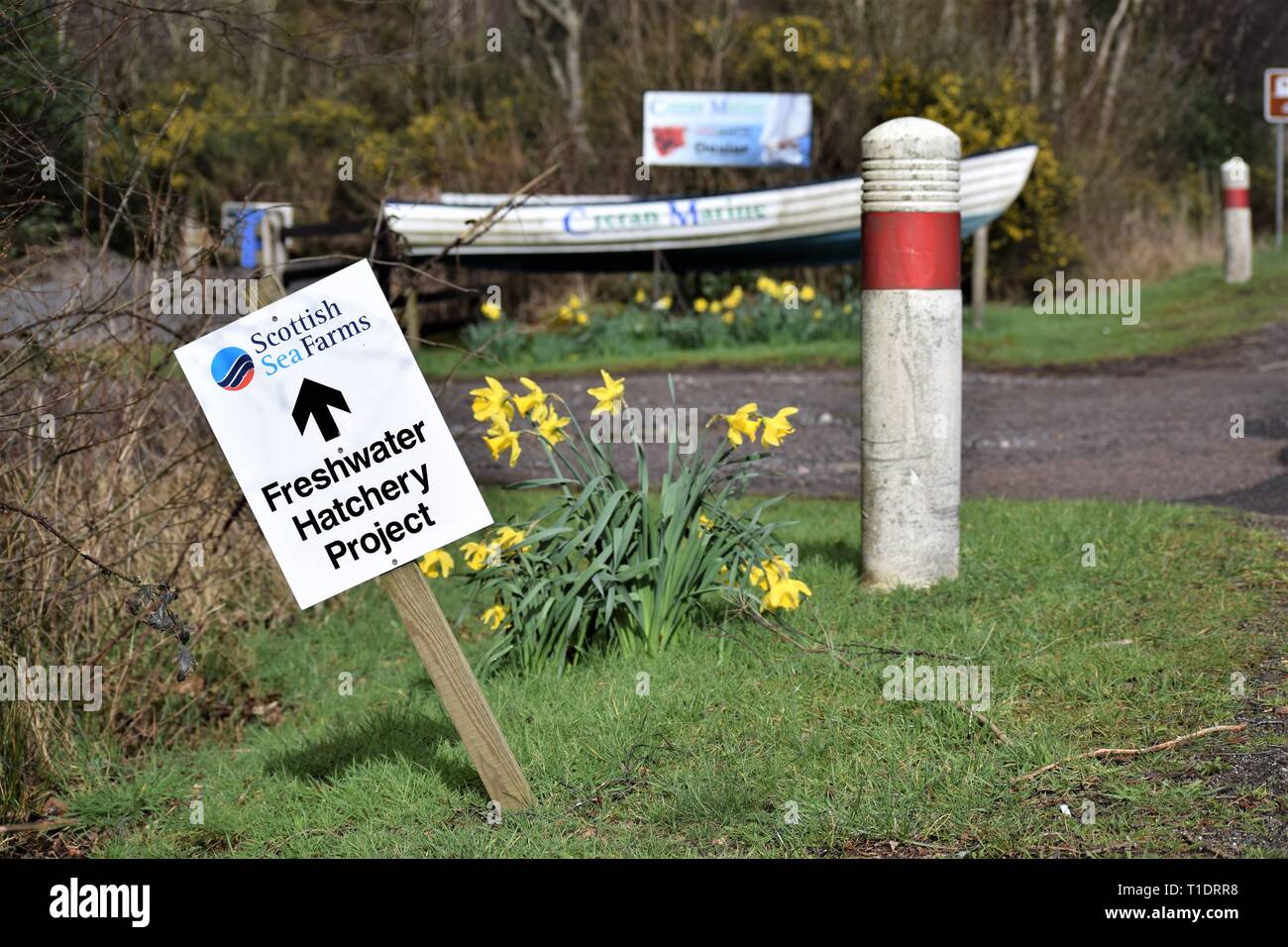 Scottish Sea Farms Freshwater Hatchery Project sign falling over to