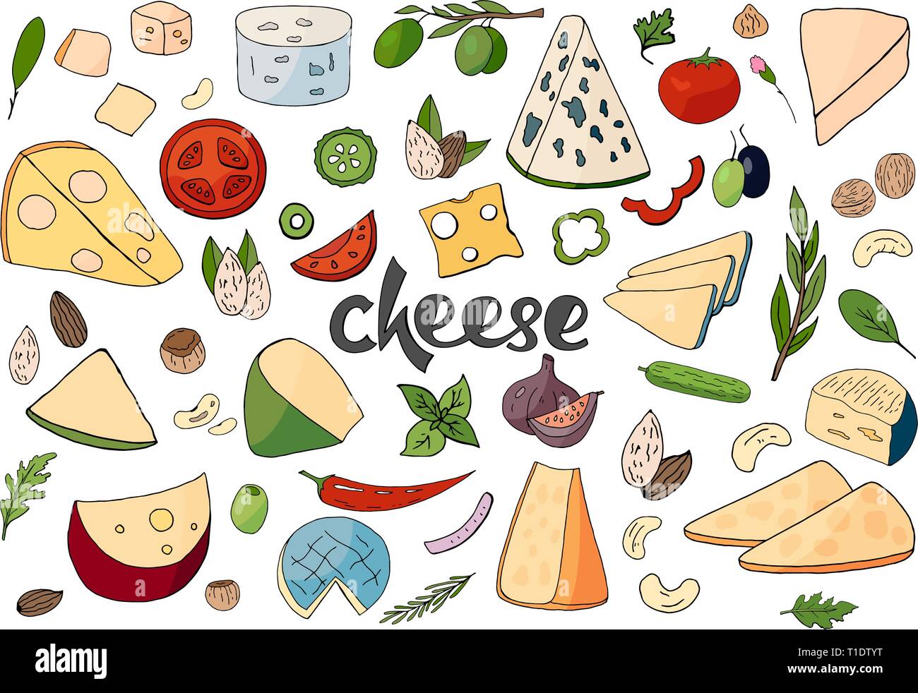 Set of hand drawn different types of cheeses on white background.  Stock Vector