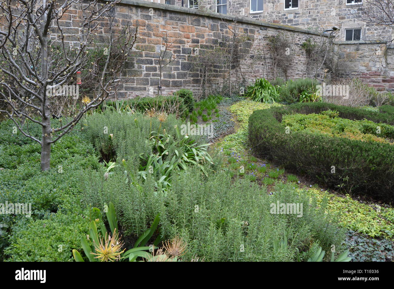 Public garden known as the Archivist's Garden, HM General Register Office, Edinburgh, March 2019 Stock Photo