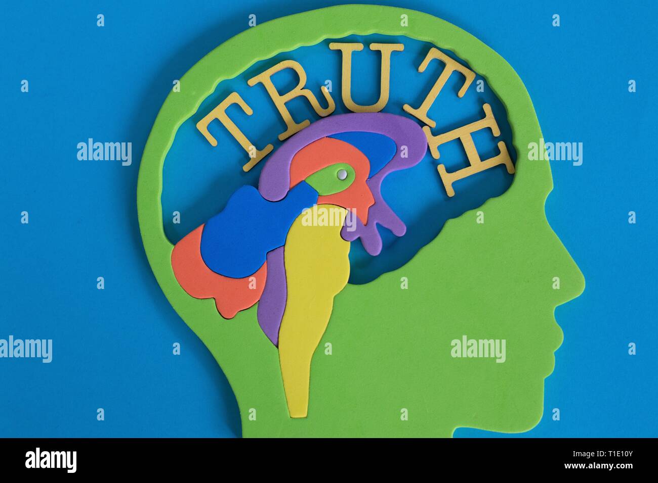 Truth Example Art Illustrating parts hi-res stock photography and images - Alamy