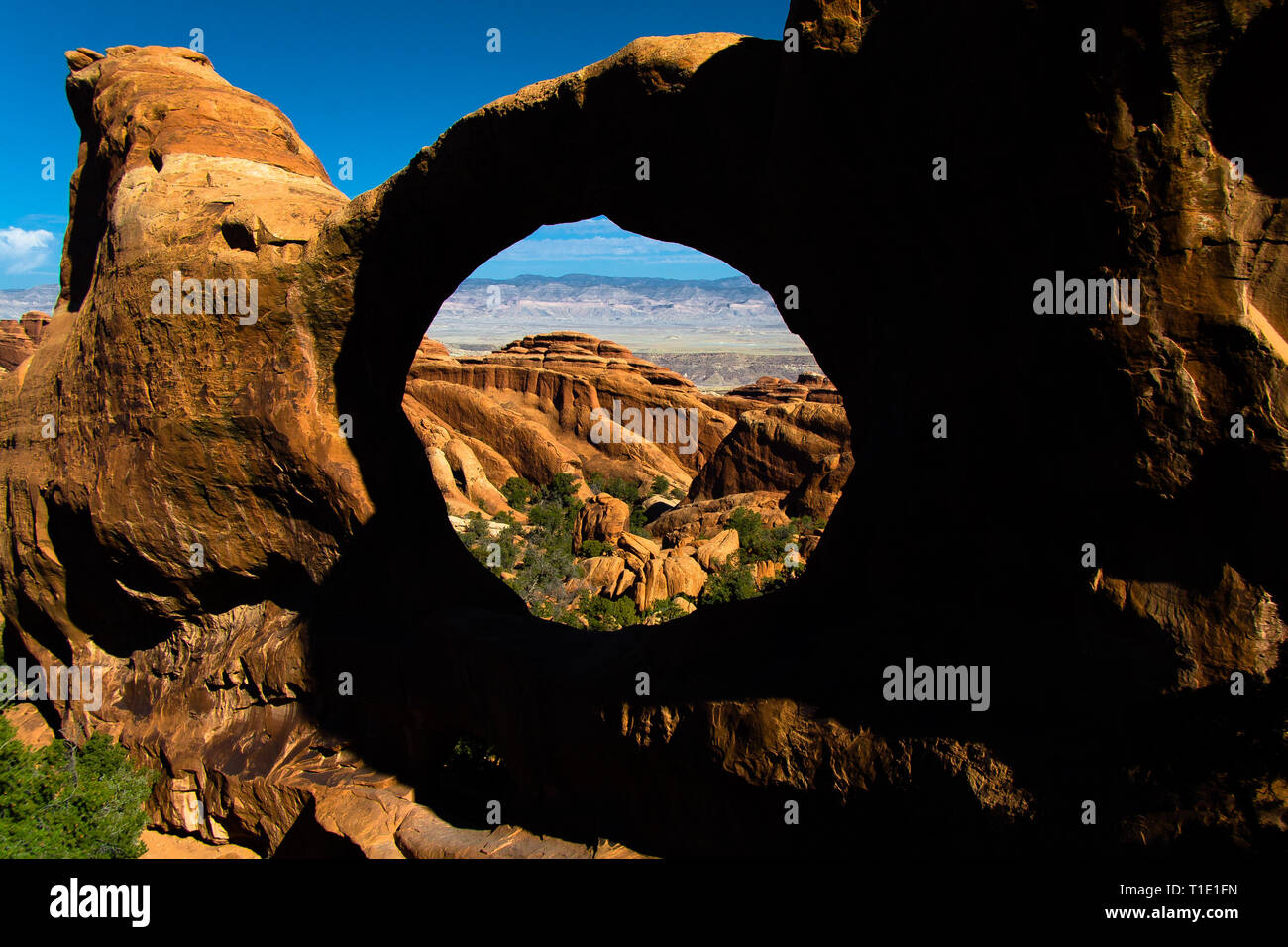 Double o arch hi-res stock photography and images - Alamy